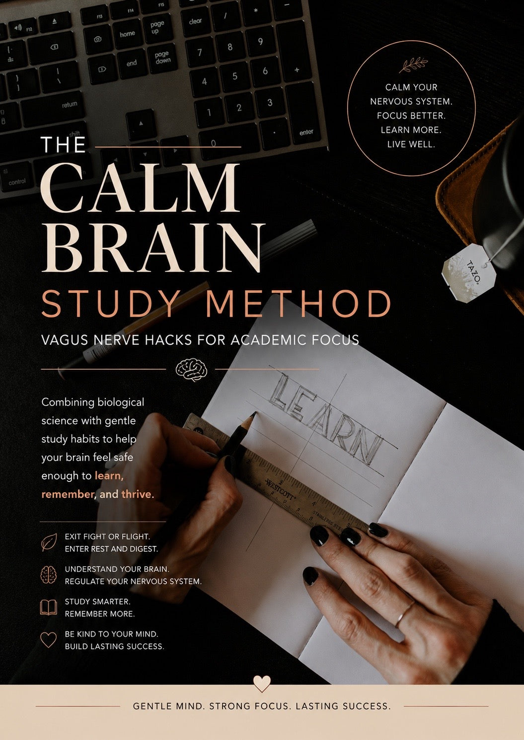 The Calm Brain Study Method